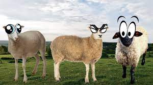 Screenshot of frantic sheep battle royale action in Crazy Cattle 3D